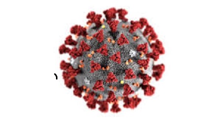 الفيروس التاجي يظهر المعدن الحقيقي للأشخاص إلى التفاصيل