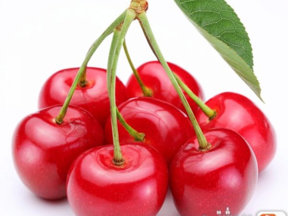 الكريز الأحمر فاكهة أهم فوائدها تقوية الدماغ