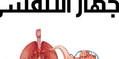 الفنان على لتجميلها الزخارف يستخدمها الخزف التي من من الزخارف الفنان على لتجميلها الزخارف يستخدمها الخزف التي من ما هي