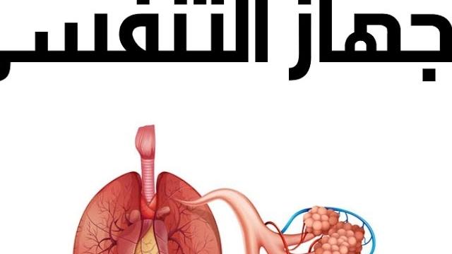 رتب الأعضاء التي يسلكها الهواء في الجهاز التنفسي من خارج الجسم إلى الداخل