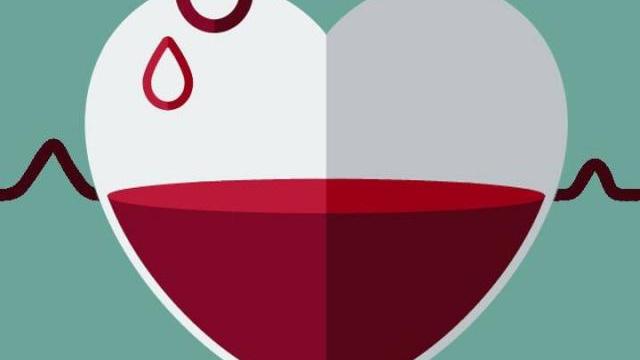 كيف تعالج فقر الدم 120 وصفة فعالة في علاج الأنيميا