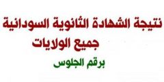 استخراج نتيجة الشهادة الثانوية السودانية 2021 عبر رابط موقع وزارة التربية والتعليم moegovsd