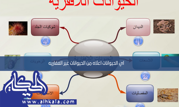 اي الحيوانات اعلاه من الحيوانات غير الفقاريه