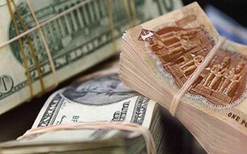 سعر الدولار مقابل الجنيه المصري اليوم الخميس 7-3-2024 في البنوك المصرية
