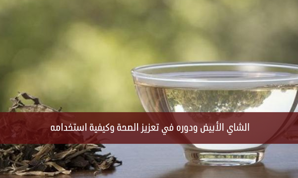 الشاي الأبيض ودوره في تعزيز الصحة وكيفية استخدامه