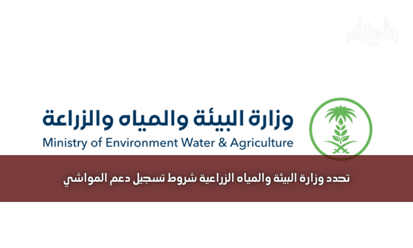 تحدد وزارة البيئة والمياه الزراعية شروط تسجيل دعم المواشي
