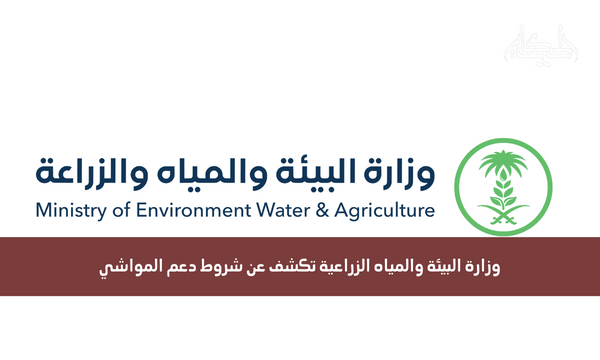 وزارة البيئة والمياه الزراعية تكشف عن شروط دعم المواشي