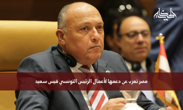 مصر تعرب عن دعمها لأعمال الرئيس التونسي قيس سعيد