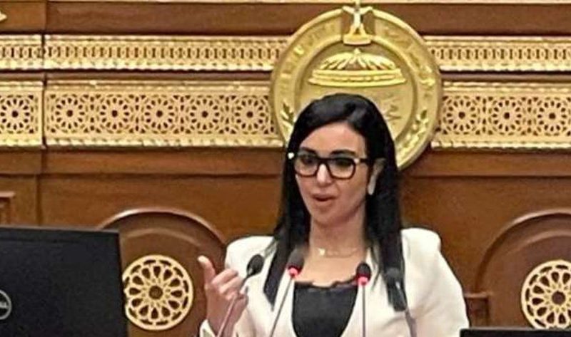 برلمانية تطالب بعقد اجتماع موسع لمناقشة نظام السنة التأسيسية بالجامعات – أخبار مصر