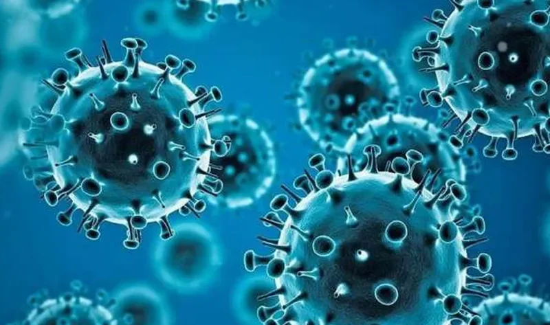بعد وفاة أول حالة مصابة به.. 5 معلومات عن حمى لاسا النادرة في أمريكا – منوعات