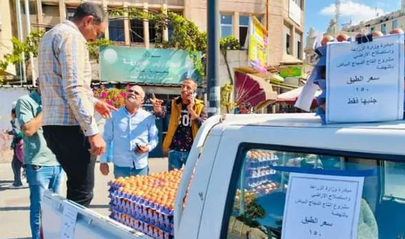 أماكن بيع البيض بأسعار مخفضة بالإسكندرية.. سعر الكرتونة 150جنيها – المحافظات