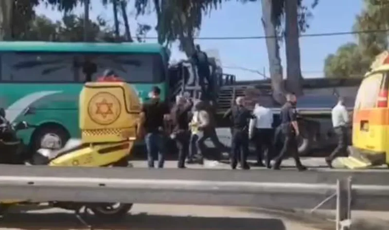 متخصصة في الشأن الإسرائيلي: مرتكب حادث دهس تل أبيب كان مسافرا قرب قاعدة جليلوت – أخبار العالم
