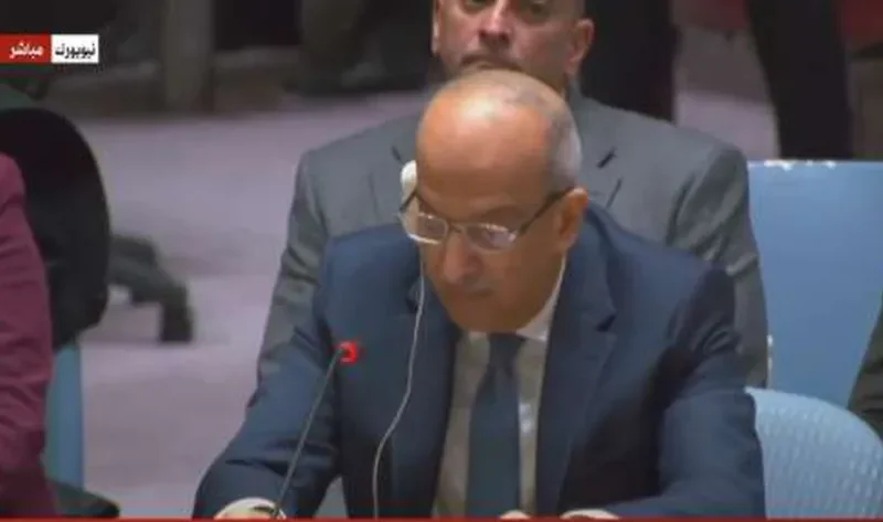مندوب مصر أمام مجلس الأمن: سنستمر في بذل الجهود لدعم الحقوق الفلسطينية – أخبار العالم