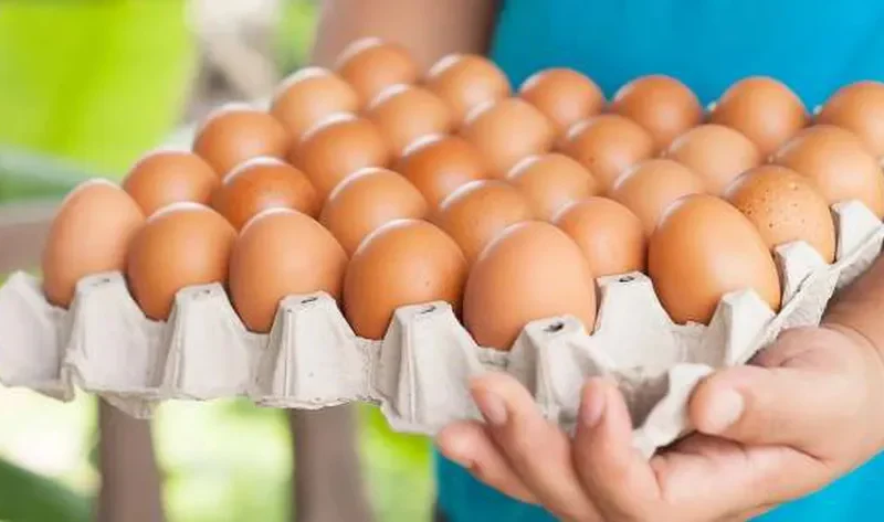 مبادرة جديدة في الإسكندرية لبيع طبق البيض بـ150 جنيها.. اعرف الأماكن – اقتصاد