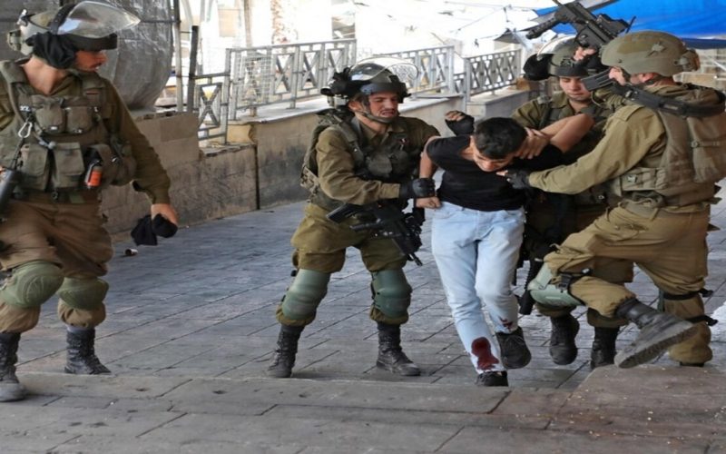 اعتقال أكثر من 11 ألف، و500 فلسطيني منذ الـ7 من أكتوبر 2023