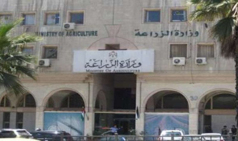 «الزراعة» تحظر نقل الأقطان من وجه بحري إلى قبلي والعكس – أخبار مصر