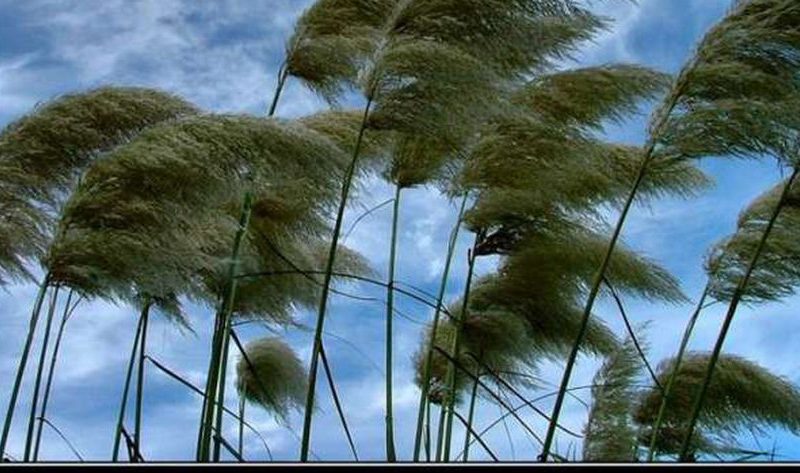 تفاصيل درجات الحرارة على المحافظات من غد الأحد إلى الجمعة.. طقس مائل للبرودة – أي خدمة