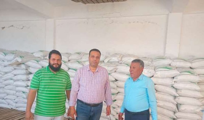 أماكن توزيع تقاوي الشعير مجانا في مطروح.. 100 طن لدعم صغار المزارعين – المحافظات