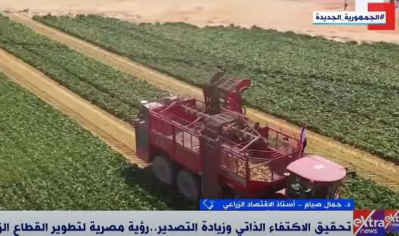 أستاذ اقتصاد: مصر حققت أرقاما غير مسبوقة في الصادرات الزراعية – أخبار مصر