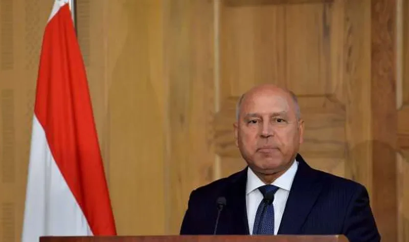 نائب رئيس الوزراء: ندرس إنشاء مصنع لإنتاج مكونات خلايا الطاقة الشمسية – أخبار مصر