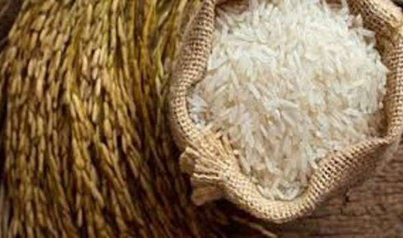 نقيب الفلاحين يكشف عن سعر الأرز الشعير اليوم الثلاثاء في الأسواق – اقتصاد