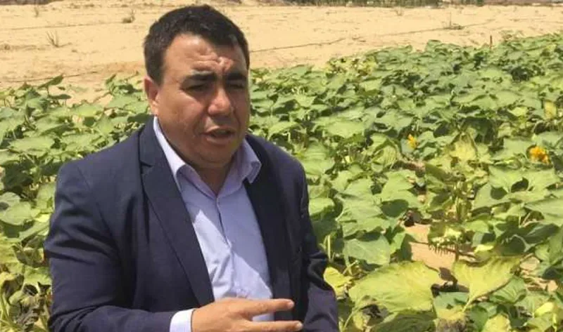 «زراعة شمال سيناء»: خطوات لمواجهة السيول والتغيرات المناخية – المحافظات