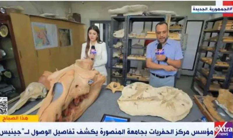 مركز الحفريات بجامعة المنصورة: الإعلان عن اكتشافات ستبهر العالم خلال شهور – أخبار مصر