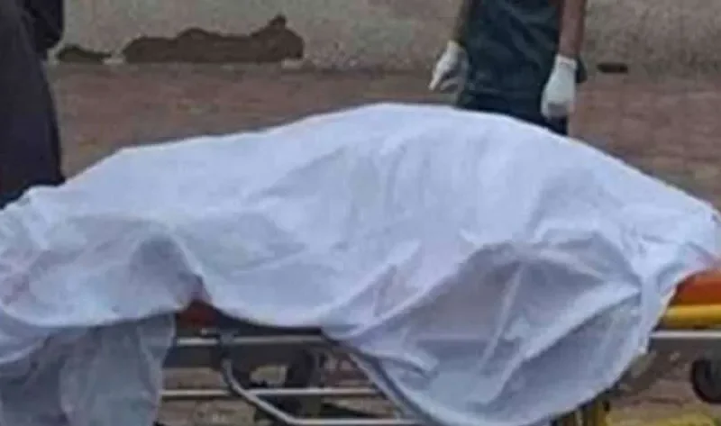 مصرع عامل في حادث تصادم بالوراق  – حوادث