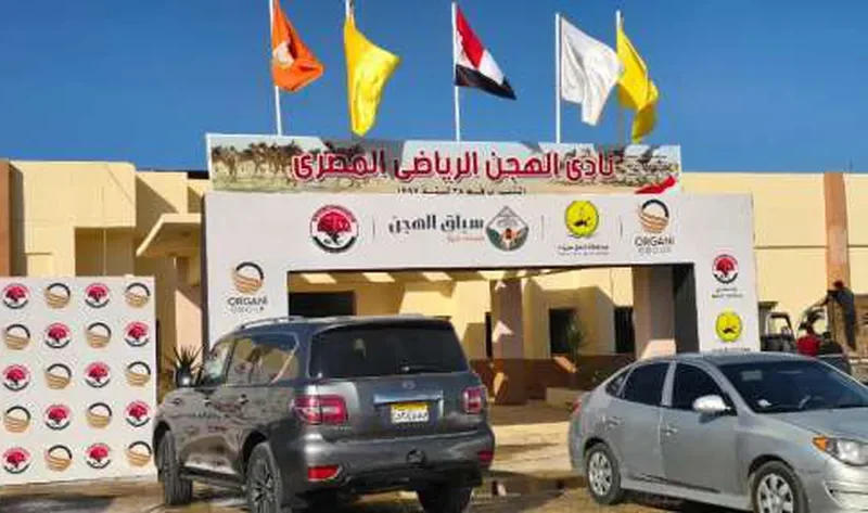 محافظ شمال سيناء يتفقد الاستعدادات النهائية لمهرجان الهجن.. ينطلق غدا – المحافظات