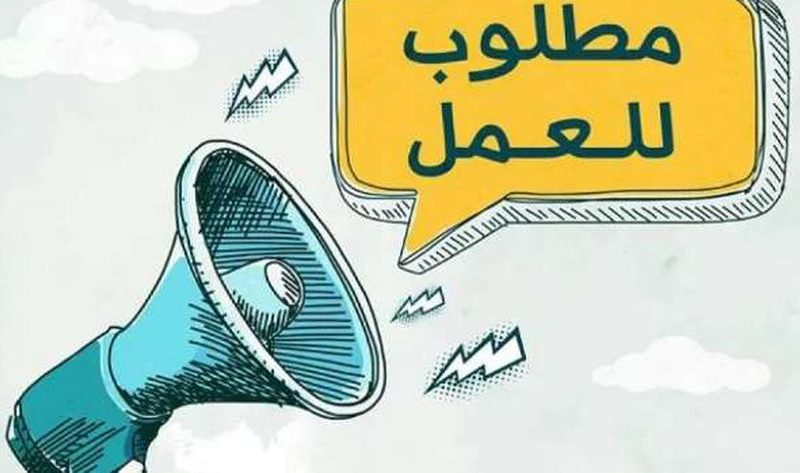 فرص عمل للإناث براتب يتجاوز 8 آلاف جنيه.. اعرف أبرز الشروط – أي خدمة