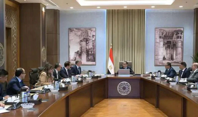 الحكومة: طرح مزايدتين للبحث عن الذهب والمعادن المصاحبة له سنويا بنظام الإتاوة – أخبار مصر