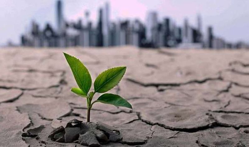 ماذا يعني التكيف مع التغيرات المناخية؟.. أحد محاور مؤتمر «cop 29» – أخبار مصر