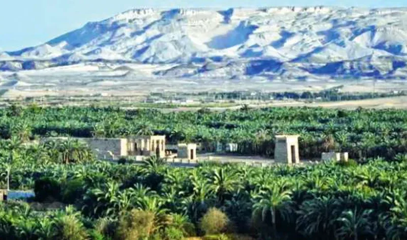 كاتب صحفي: الدولة المصرية تهتم بإحداث تنمية شاملة في الوادي الجديد – أخبار مصر