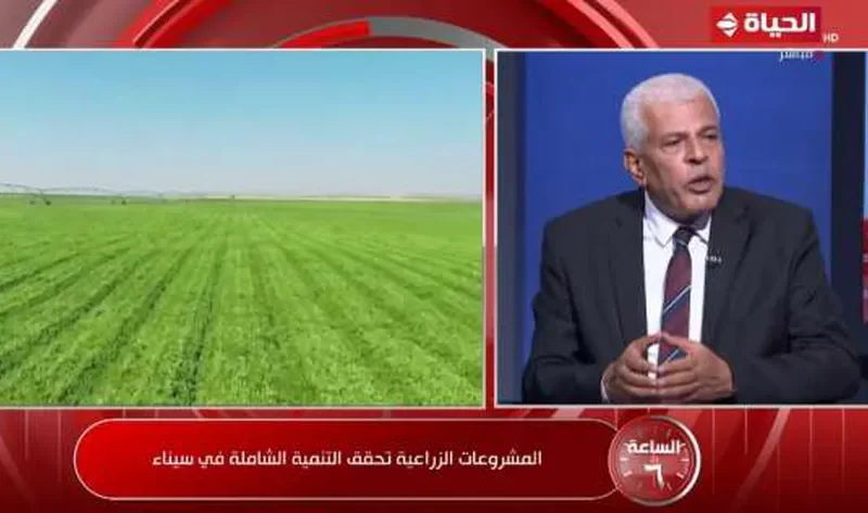 نقيب الزراعيين: شبكة الطرق في جنوب سيناء تفتح آفاقا جديدة للتنمية الزراعية – أخبار مصر