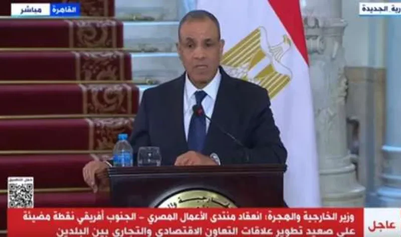 وزير الخارجية: مصلحة مشتركة بين مصر وجنوب أفريقيا لاستخدام أطر إقليمية ودولية – أخبار مصر