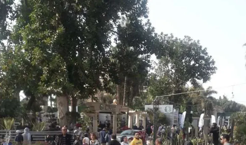 إجراءات مهمة للحفاظ على أشجار حديقتي الحيوان والأورمان ضمن خطة التطوير – أخبار مصر