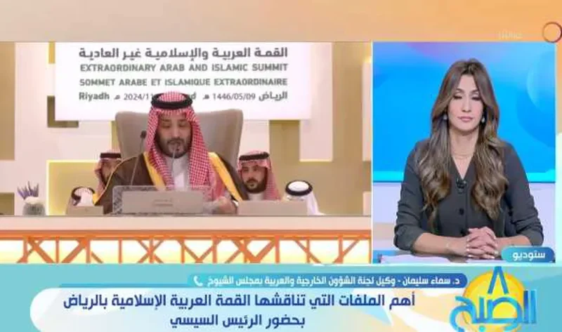 عضو بـ«الشيوخ»: القمة العربية تحمل في طياتها العديد من الرسائل لإسرائيل – أخبار العالم