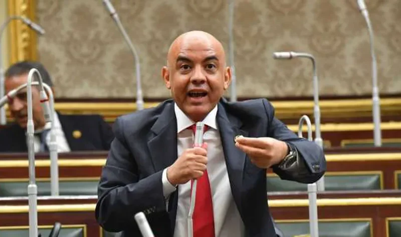 عضو بـ«النواب»: وعي المصريين أفشل المخططات الخبيثة للجماعة الإرهابية – أخبار مصر