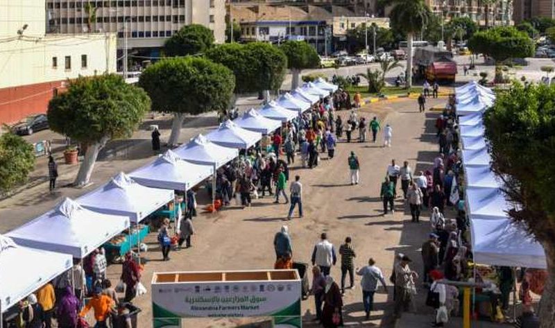 استحداث ميزتين جديدتين في سوق المزارعين بالإسكندرية اليوم.. فرصة ذهبية – المحافظات