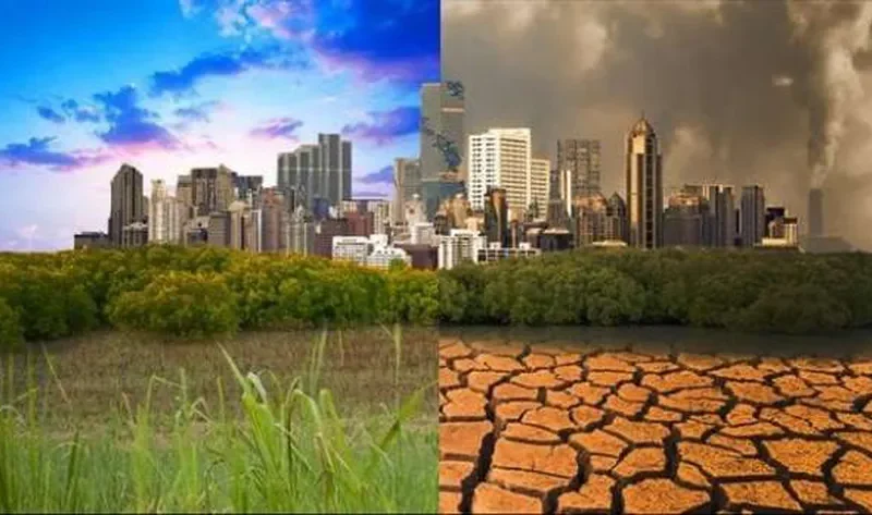 عمدة مدينة مغربية: أفريقيا تحصل على 3% من تمويلات العالم للمناخ – أخبار مصر