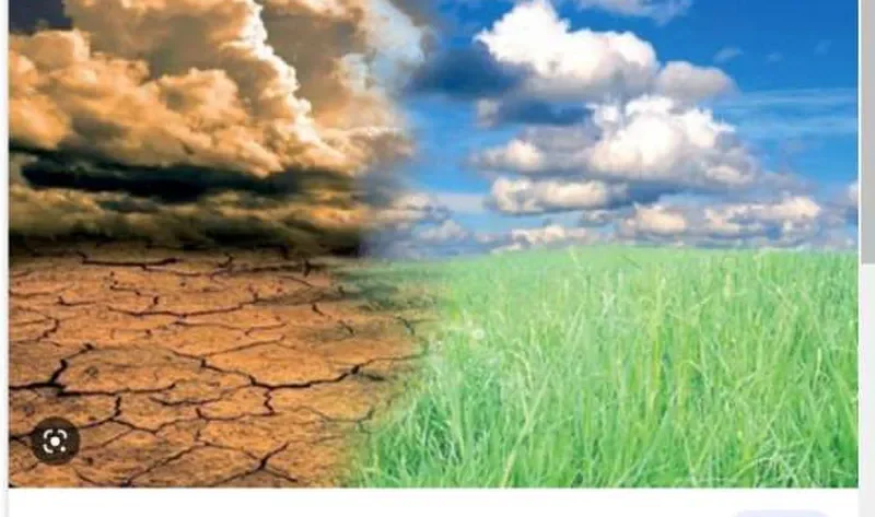 أستاذ مناخ: الدول الصناعية الكبرى لا تلتزم بتعهداتها لمواجهة الانبعاثات الكربونية – أخبار العالم