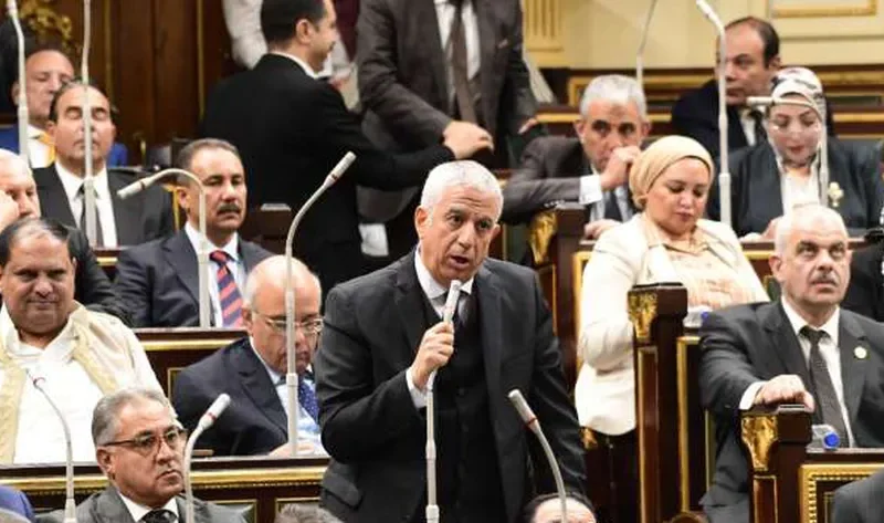 «خارجية النواب»: مصر مهتمة بملف حقوق الإنسان.. وإجراءات لتنظيم الحبس الاحتياطي – أخبار مصر