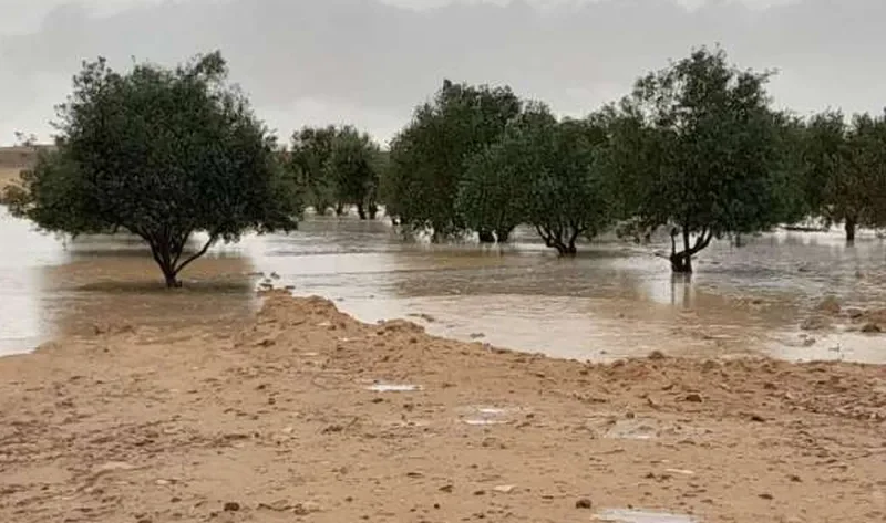 سقوط أمطار متفاوتة الشدة على مدينة الحسنة بشمال سيناء.. وانخفاض درجات الحرارة – أي خدمة