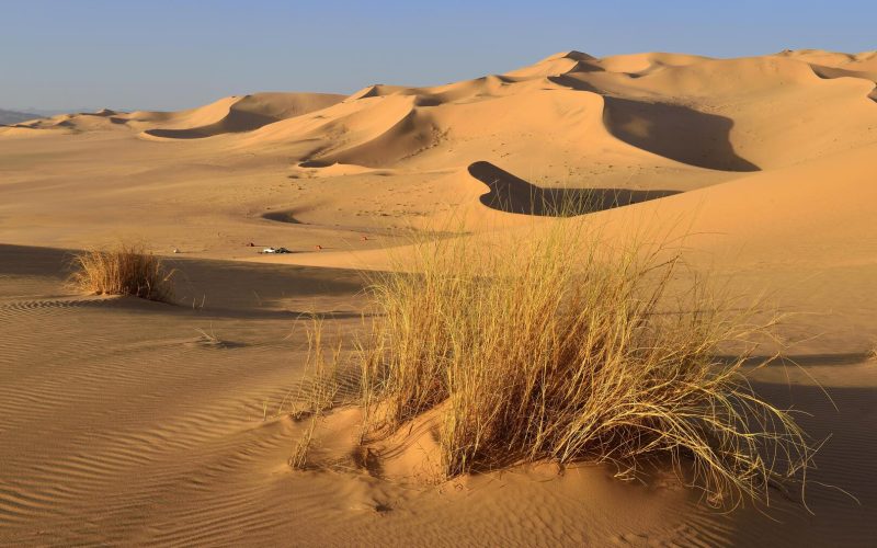 الجزائر.. شاب مستكشف يعلن العثور بمحض الصدفة على قرية مهجورة