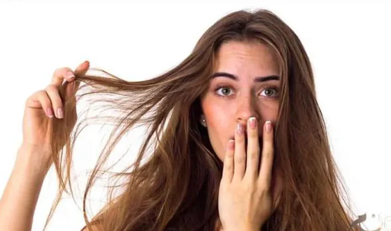 «هيطول ويرجع زي الأول».. الوقت المناسب لقص الشعر والأطراف المقصفة – منوعات