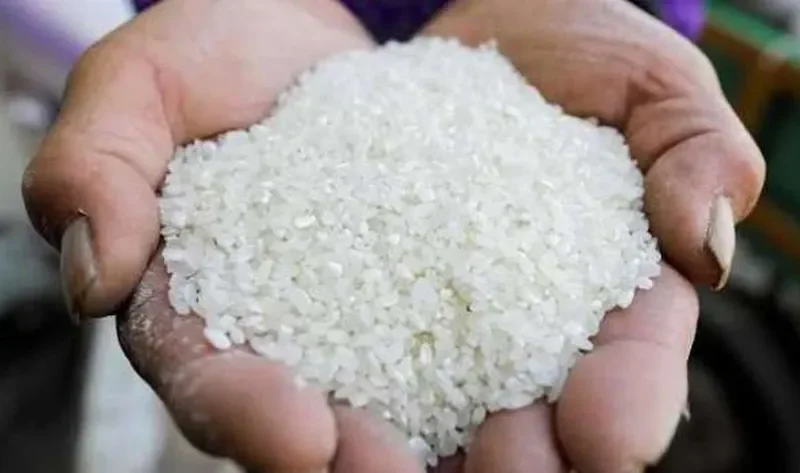 سعر طن الأرز الشعير اليوم الاثنين 4-11-2024 في مصر – اقتصاد