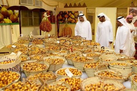 بأجود الأصناف.. العتبة الحسينية تشارك في مهرجان (ليوا) للتمور في أبوظبي