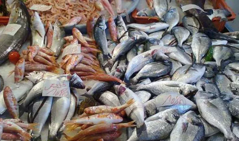 أسعار السمك اليوم الثلاثاء 3-12-2024 في الأسواق – اقتصاد