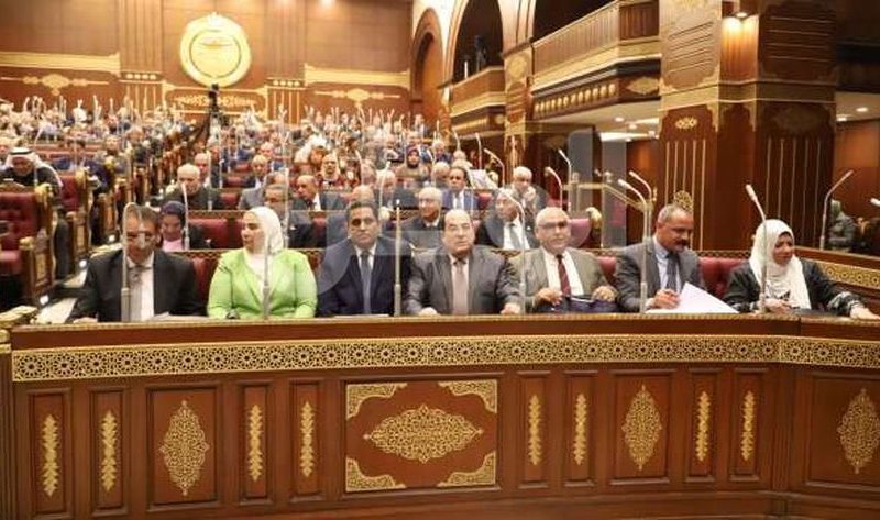 نواب بـ«الشيوخ»: الدعم النقدي يعد المسار الأنسب لتحقيق الحماية الاجتماعية – أخبار مصر