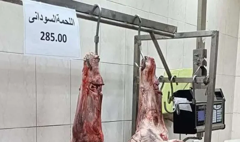 عناوين منافذ بيع اللحوم السودانية في البحر الأحمر.. أسعار مخفضة – المحافظات